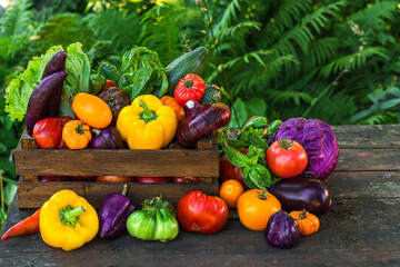 Fresh organic vegetables in wooden box on rustic table in a garden. Agriculture or harvest concept