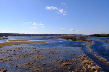 Flooded valley of Narew River in springtime