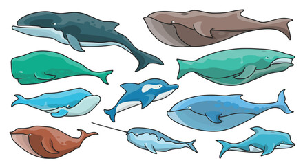 Fototapeta premium Sea whale vector color set icon.Vector illustration marine animal of whale.Isolated color icon of sea animal on white background.