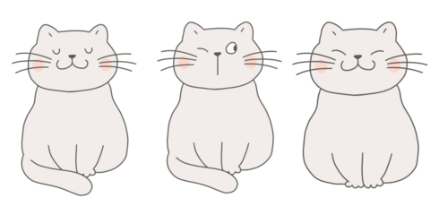 cute funny cat cartoon image PNG