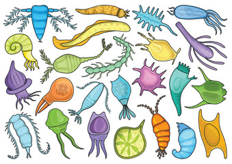 Plankton vector color set icon. Isolated color set icon phytoplankton.Vector illustration plankton on white background.