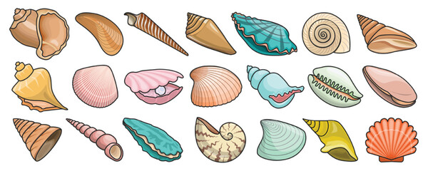 Shell vector color set icon. Vector illustration set shell sea. Isolated color icon seashell on white background .