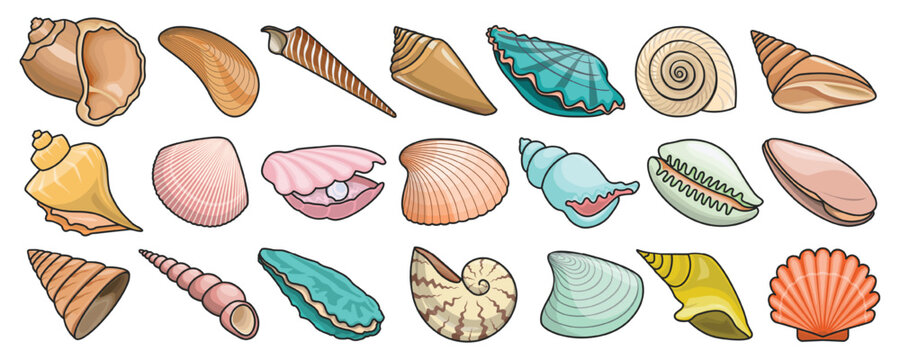 Shell vector color set icon. Vector illustration set shell sea. Isolated color icon seashell on white background .