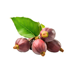 Fig fruit isolated on transparent background
