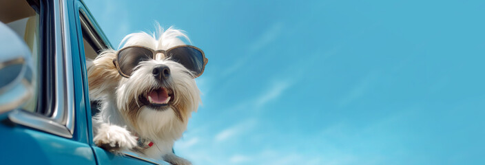 Funny happy dog in glasses looking out of the car window while traveling. Banner, copy space.  AI generation