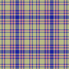 Pattern plaid vector of textile texture check with a fabric tartan background seamless.