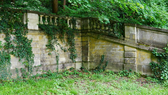 Vestige historique et grand mur partiel rocheux, d'une ancienne grande demeure, avec escalier envahit par la terre et la nature, dans une zone forestière perdue et découverte culturelle, lierres