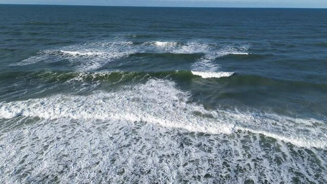 Flying out from shore