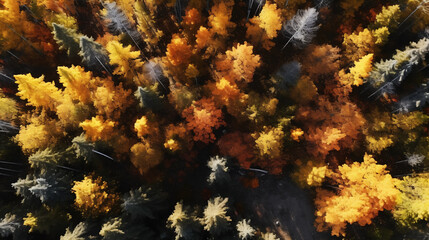 Fototapeta na wymiar Aerial view of thick forest in autumn .Created with Generative AI technology.