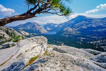 Yosemite National Park, California