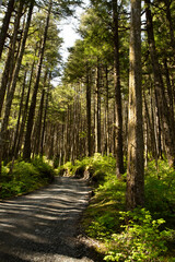 Mendenhall Garden tour in Juneau Alaska beautiful forest trees and plants,