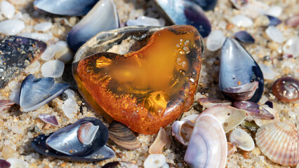 Transparent Baltic amber stone on the sea shells close up. Old amber fossil on the beach. Amber...