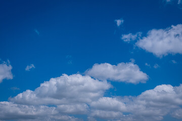 white clouds in the blue sky. cumulus.