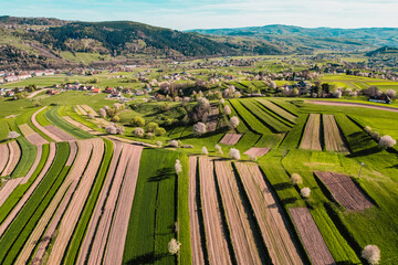 Spring Slovakia landscape. Nature fields with blooming cherries. Unique ecological land management. Polana region, Hrinova, Slovakia Europe. © Zedspider
