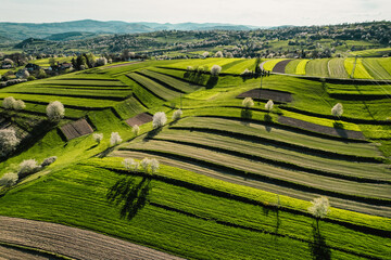 Spring Slovakia landscape. Nature fields with blooming cherries. Unique ecological land management. Polana region, Hrinova, Slovakia Europe. © Zedspider