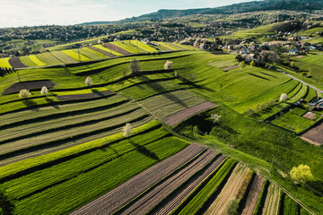 Spring Slovakia landscape. Nature fields with blooming cherries. Unique ecological land management. Polana region, Hrinova, Slovakia Europe. © Zedspider