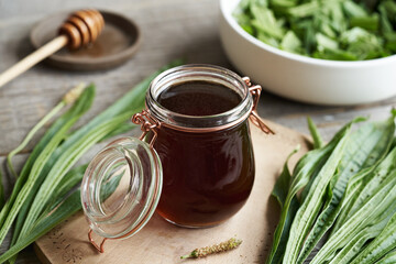 Ribwort plantain syrup in a jar on a table