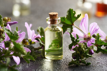 A bottle of common mallow essential oil with blooming malva sylvestris