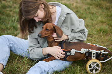 Young girl sitting on a green grass in the park and petting her handicapped dachshund on a...