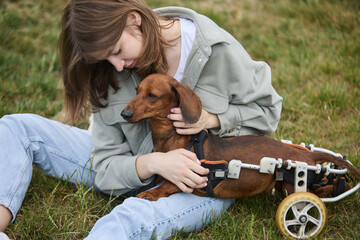 Young girl sitting on a green grass in the park and petting her handicapped dachshund on a wheelchair. Caring owner stroking a paralyzed pet on a walk
