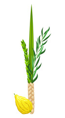 Traditional symbols of Sukkot: Etrog (citron), lulav (palm branch), hadas (myrtle), arava (willow). Festival of Ingathering or Feast of Tabernacles. Great for card, banner, collage, social media