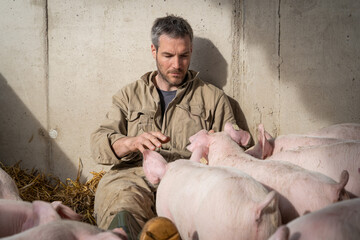 Sitzender Junglandwirt spielt mit seinen Schweinen in einer Bewegungsbucht.