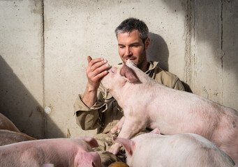 Sitzender Junglandwirt spielt mit seinen Schweinen in einer Bewegungsbucht.