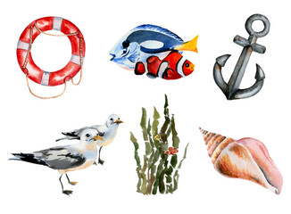 Nautical watercolor set,ship items, seagulls, algae. Print, stickers