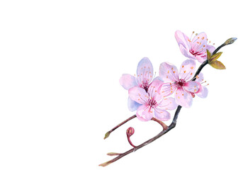 Spring tree, watercolor flowers. Print, postcard