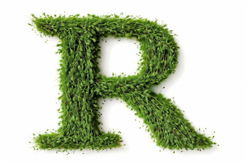 A letter r with grass on a white background, eco text effect, isolated letter with grass effect high quality