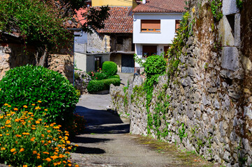 Old houses in remote mountain village Asiego, Picos de Europa mountains, Asturias, North of Spain