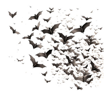 bat swarm a flurry of detailed black bats isolated on a transparent background, generative ai