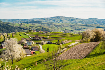Spring Slovakia landscape. Nature fields with blooming cherries. Unique ecological land management. Polana region, Hrinova, Slovakia Europe. © Zedspider