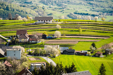 Spring Slovakia landscape. Nature fields with blooming cherries. Unique ecological land management. Polana region, Hrinova, Slovakia Europe. © Zedspider