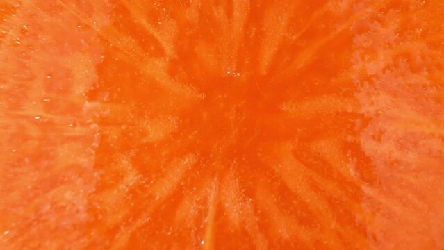 A close-up shot of the carrot slice, showcasing its vibrant orange color and smooth surface. the details start to emerge, and we witness the delicate patterns on the slice's cross-section. 4K
