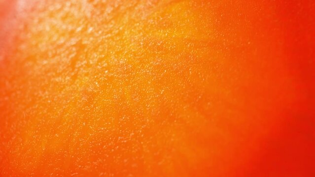 Captivating macro video of a carrot slice using a probe lens. Delve into intricate details and vibrant colors as the lens reveals the hidden beauty within. Vegetable concept. Carrot background. 4K

