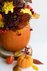 Naklejka na ściany i meble Autumn bouquet of bright flowers in a pumpkin handmade vase. Cozy home atmosphere, fall decor. White background
