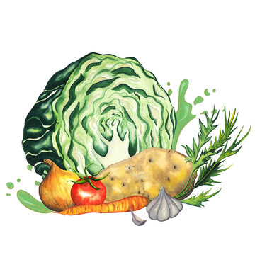 Watercolor vegetable composition with cabbage, carrot, onion, garlic, potato, tomato and splash. Soup and stew cooking set. Hand drawn vegetable isolated on white background for poster, package design
