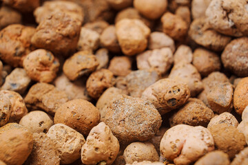 Expanded clay. small lumps of clay used in construction and for growing plants.