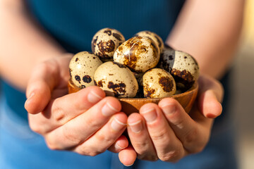 Girl holding a wooden bowl with fresh quail eggs. 