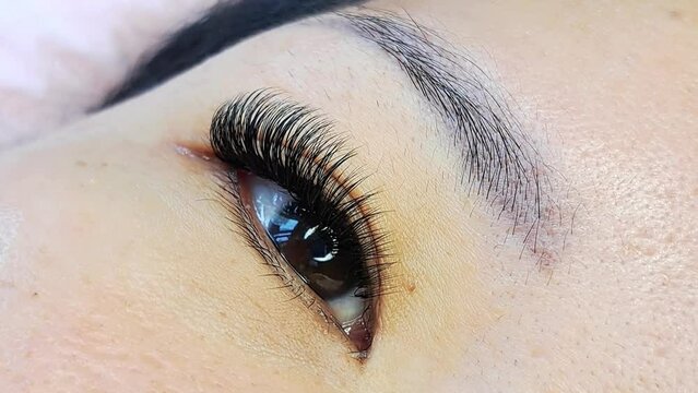 Close up of eye with eyelash extensions ,beauty salon treatment ,2d volume, 3d volume, classical lashes,Russian volume,megavolume, new set