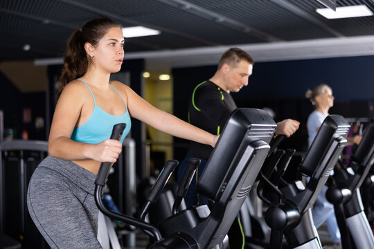 ellipse moderate woman