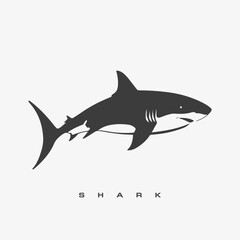 Modern vector shark logo template.