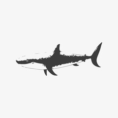 Modern vector shark logo template.