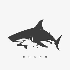 Modern vector shark logo template.