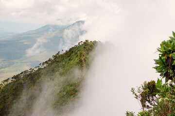 Obraz premium Scenic view of Mount Gahinga and Mount Muhabura seen from Mount Sabyinyo in the Virungas region, Mgahinga Gorilla Natioanl Park, Uganda