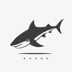 Obraz premium Modern vector shark logo template.