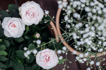 Roses and gypsophyla in ceramic pots on the terrace top view.