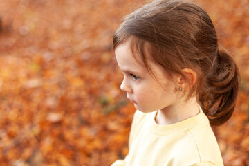 Portrait of a cute little girl on the background of autumn leaves