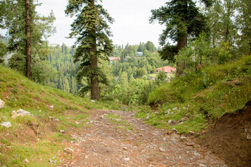 Fototapeta na wymiar A Pathway into the Mountains in Nathia Gali, Abbottabad, Pakistan.
